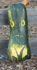 Green Iland, Nipomo Pumpkin Patch best carving idea